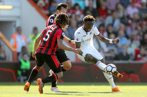 明阿昌庞若 明阿昌庞若